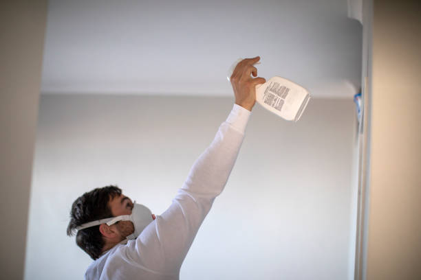 Best Fast Mold Removal  in Le Mars, IA