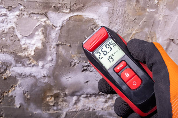 Best Certified Mold Removal  in Le Mars, IA